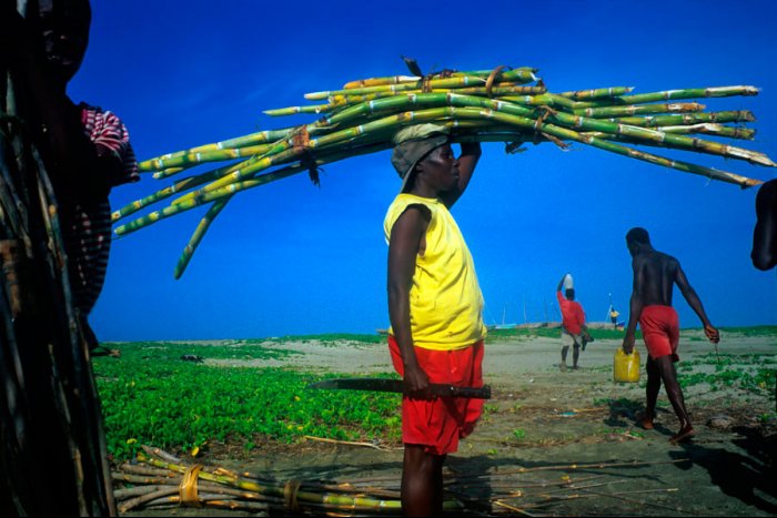 Haiti, artist of color - Limonade