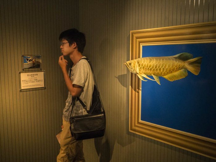 Tokyo, lovely heart - T-Art Museum