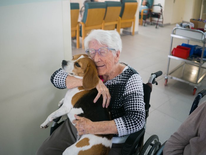 El arte y la ciencia de curar