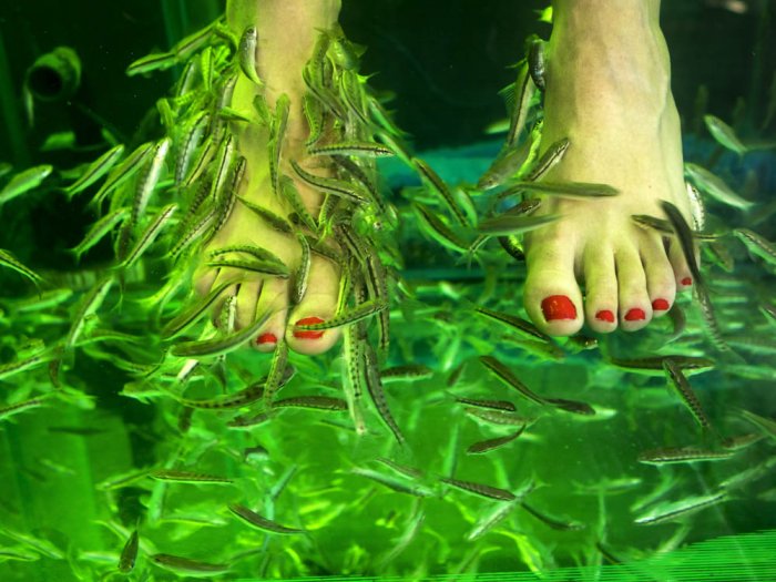 El arte y la ciencia de curar