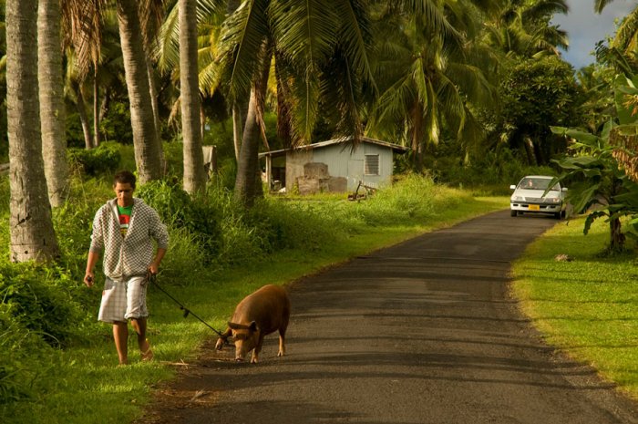 Avana Drive - Rarotonga Isle - Cook Islands