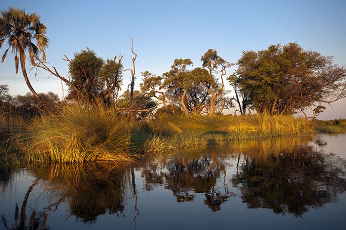 Delta del Okavango - Parque Nacional de Moremi  - Eagle Island Camp - Botswana