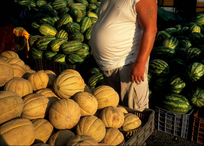 Melons and watermelons