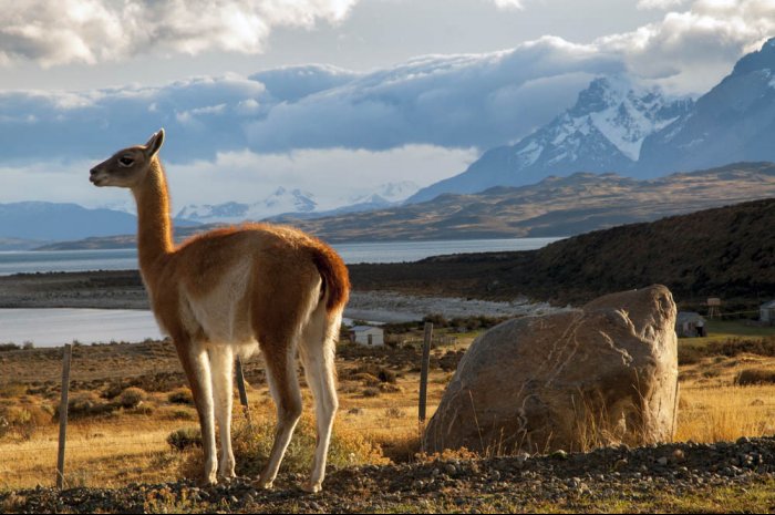 Patagonia, el cruce de los Andes